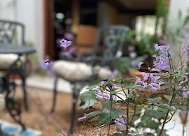 Galería Casona Andino 4